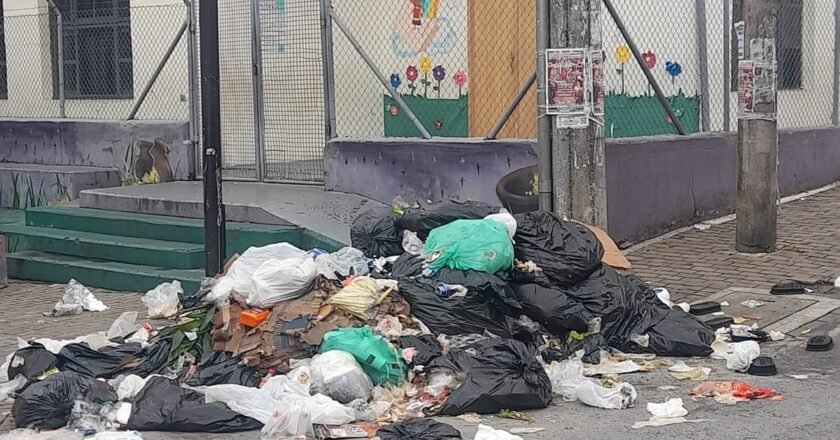 Gallinazos, basura y abandono: la emergencia sanitaria rodea el parque de La Estrella y llega hasta colegios