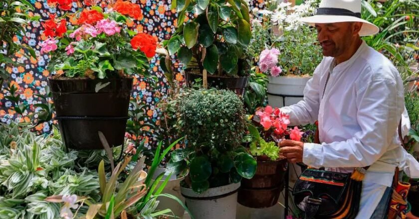Así se vive la magia de Landeros de las Flores: música, cultura y tradición florecen en cada rincón de la ciudad
