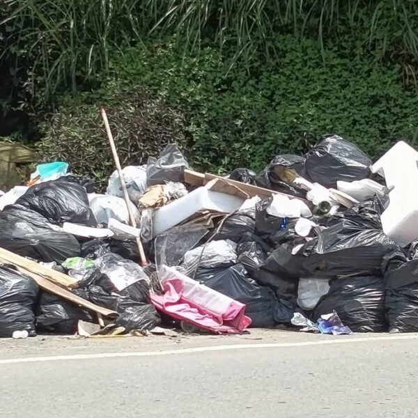 Basura, ratas y abandono: La Tablaza grita por atención urgente en La Estrella